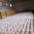 Export Standard Good Quality Wholesale Walnut Kernels